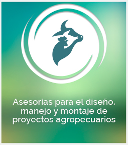 Asesorías para el diseño, manejo y montaje de proyectos agropecuarios