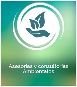 asesorias-y-consultorias-ambientales