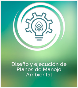 diseño-y-ejecución-de-planes-de-manejo-ambiental