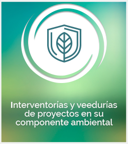 interventorias-y-veedurias-de-proyectos-en-su-componente-ambiental