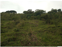 Geomorfo Olvera